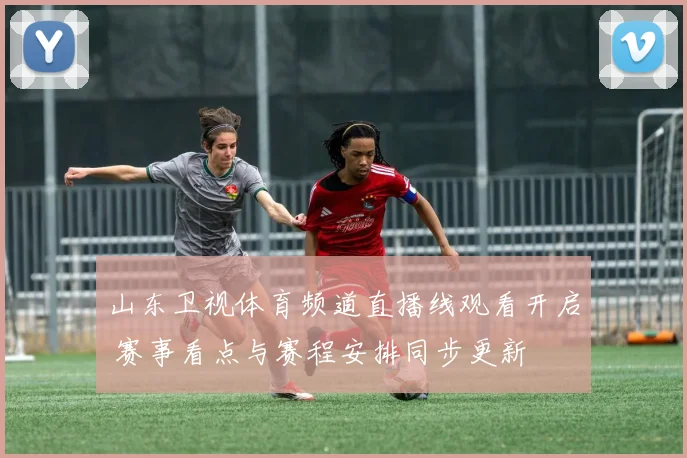 山东卫视体育频道直播线观看开启 赛事看点与赛程安排同步更新